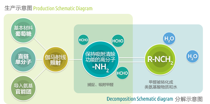 甲醛分解示意圖